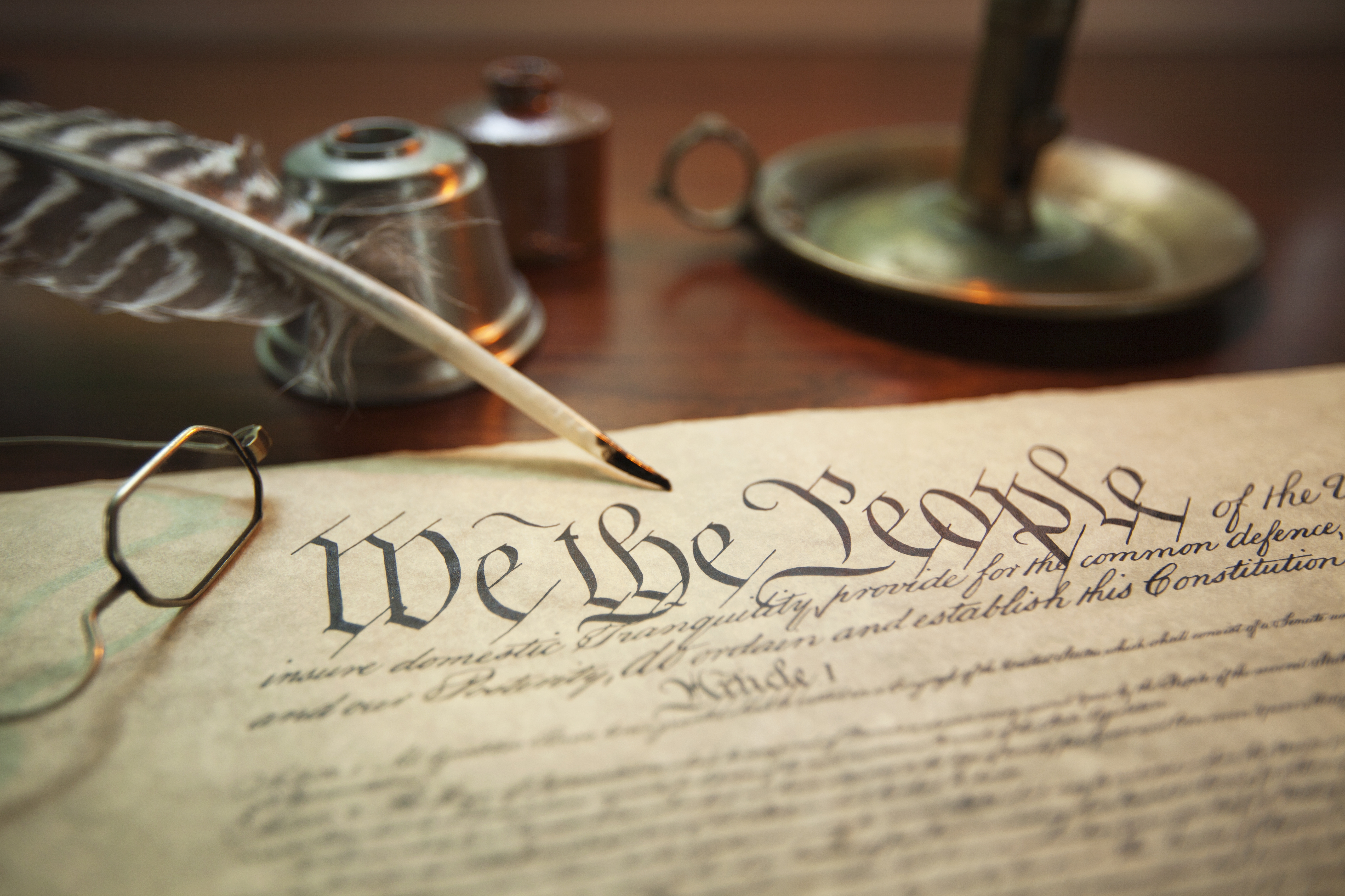 We Love Our Constitution
